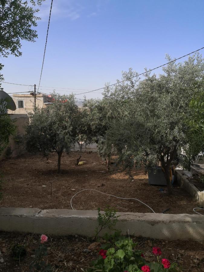 White Tulips Apartment الزنبقة البيضاء Jarash Extérieur photo
