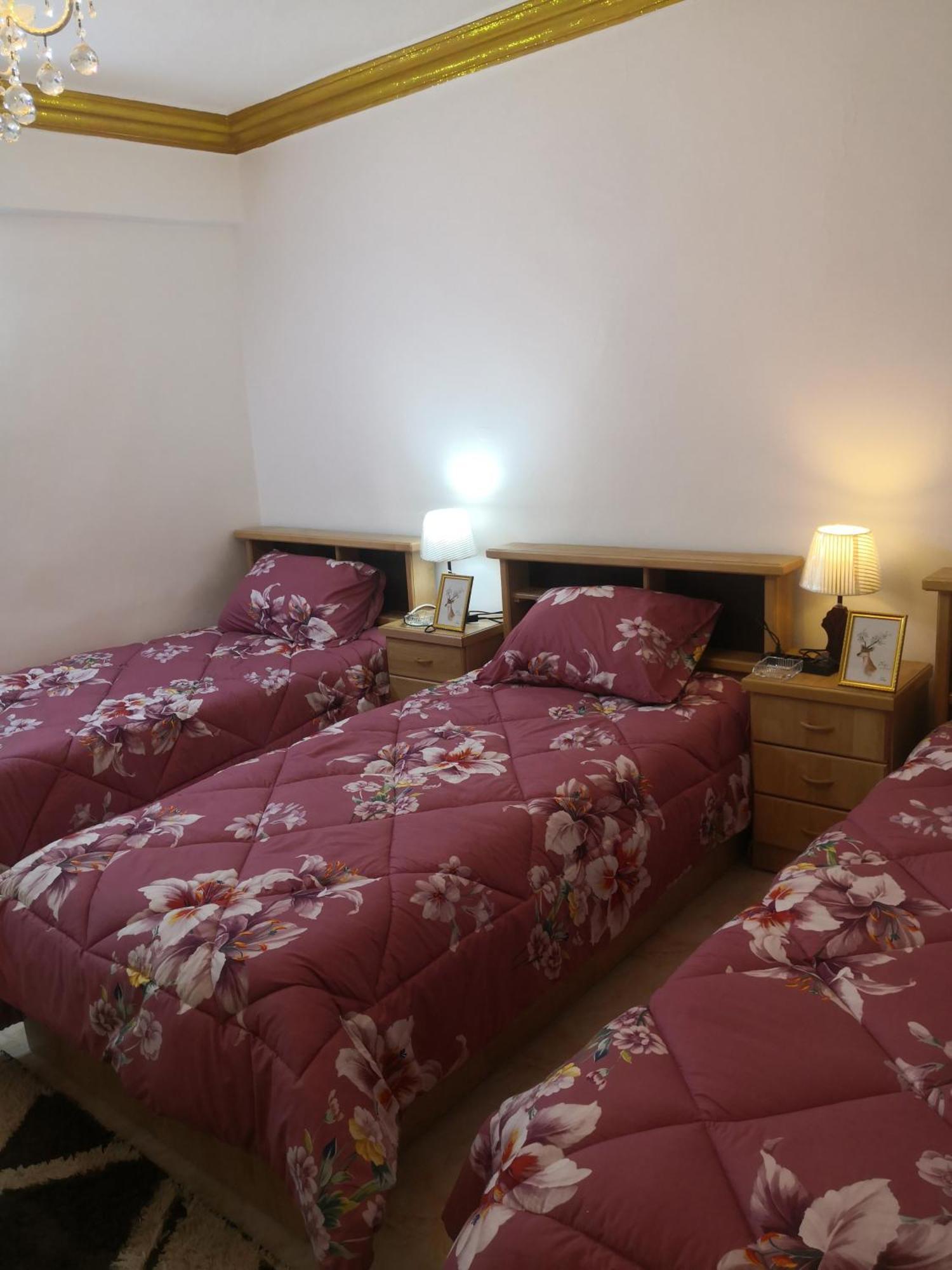 White Tulips Apartment الزنبقة البيضاء Jarash Extérieur photo