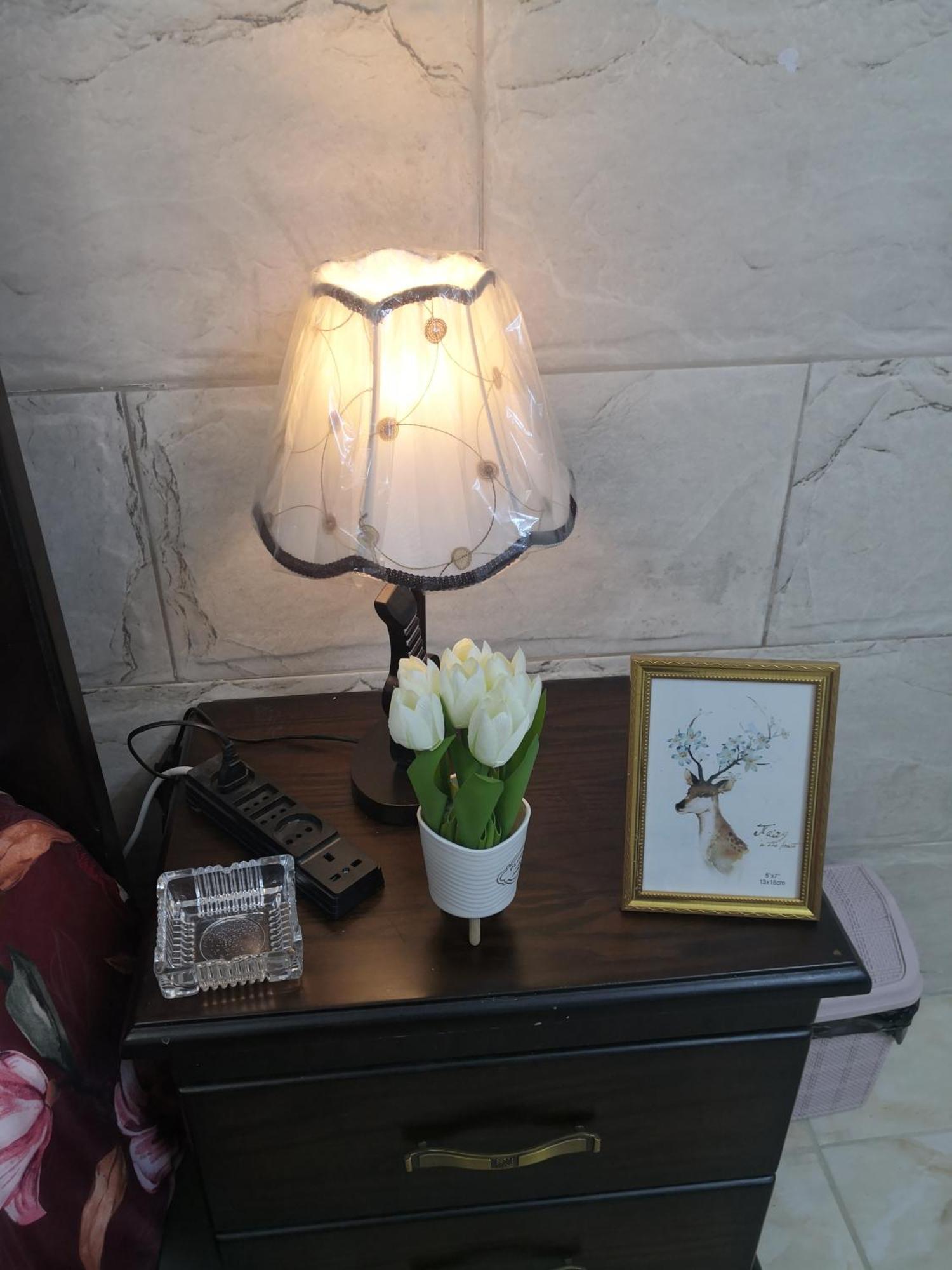 White Tulips Apartment الزنبقة البيضاء Jarash Extérieur photo