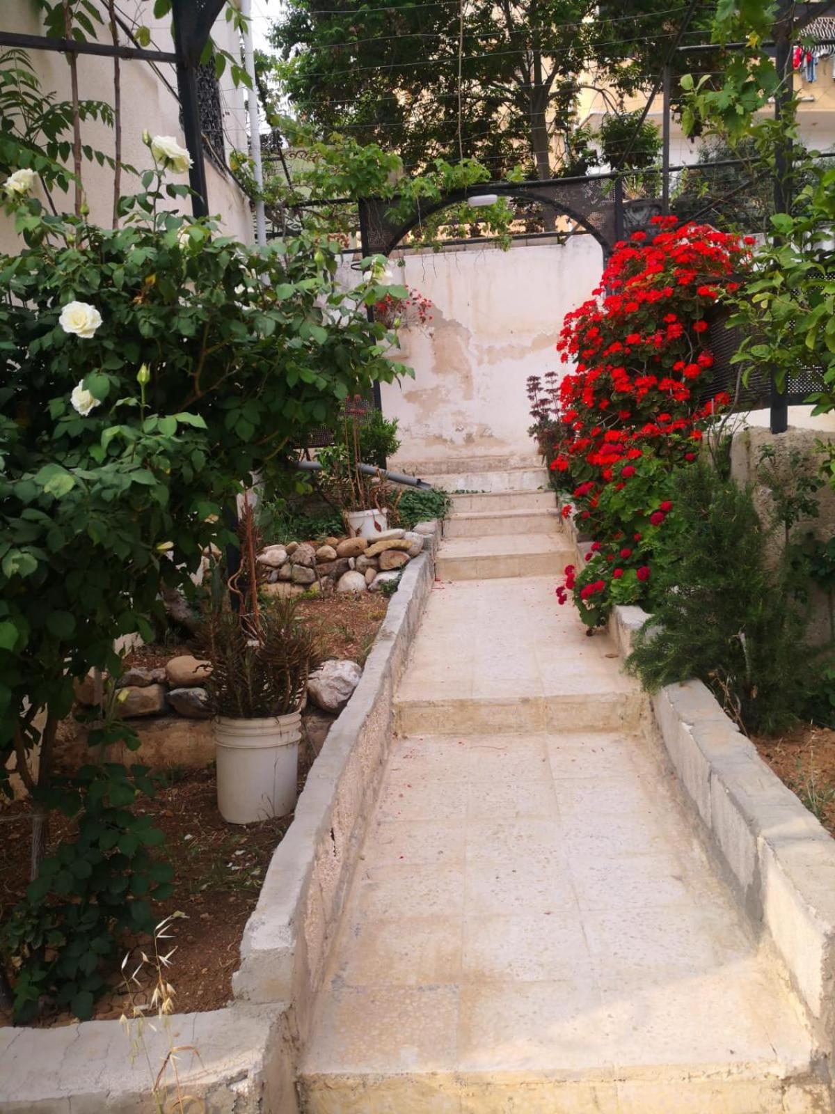 White Tulips Apartment الزنبقة البيضاء Jarash Extérieur photo